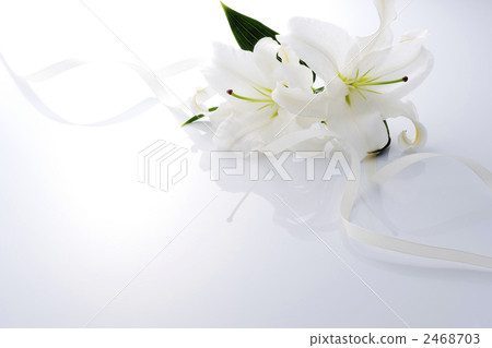 百合 2468703