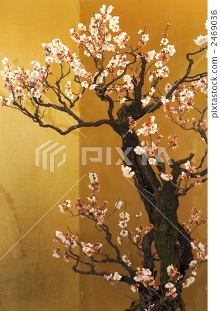 Bon'ume Bon'ume 2469036