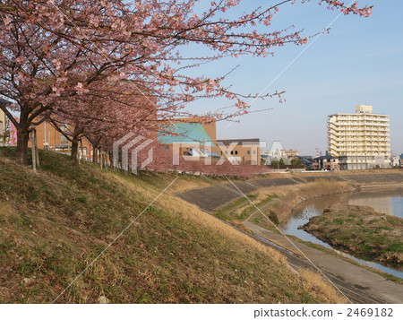 Okazaki · Ogawa Okazaki · Ogawa 2469182