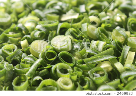 Scallion 2469983