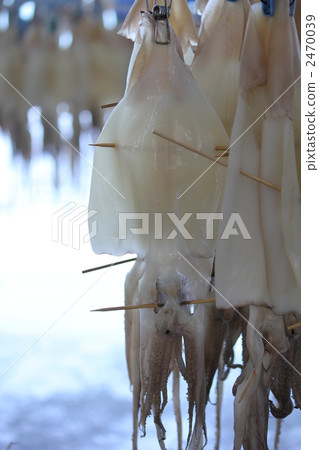 隔夜乾燥 隔夜乾燥 2470039