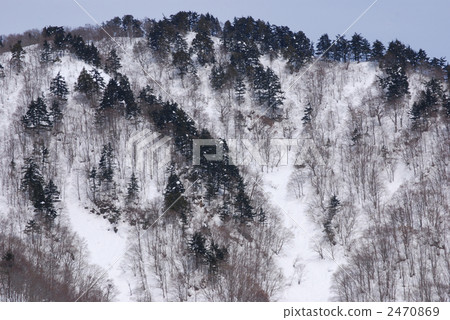 snow scene, snow mountain, snowy mountain 2470869