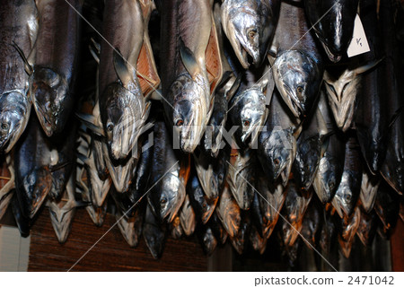 商店 設施 機構 2471042