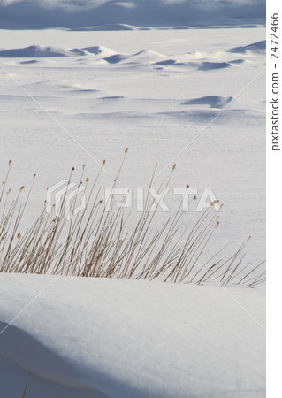 Winter Kirigamine Plateau 2472466