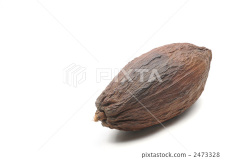 Cacao fruit 2473328