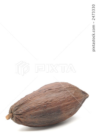 可可果 可可果 2473330