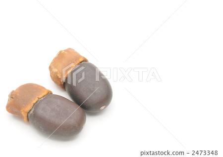 Stone nuts (bean sprouts beans) Stone nuts (bean sprouts beans) 2473348
