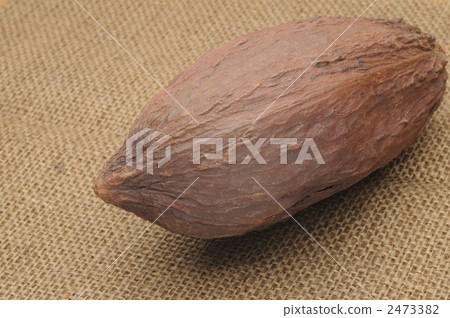 可可果 可可果 2473382