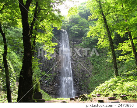 Tamadare Falls 2473693