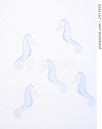 Seahorse Seahorse 2473910