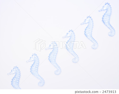 Seahorse Seahorse 2473913