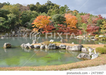 Honoraku garden Honoraku garden 2473997