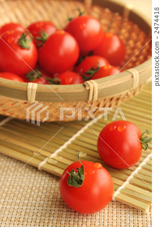 Tomato Tomato 2474418