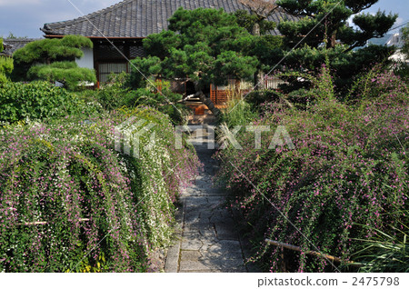 常林寺 常林寺 2475798