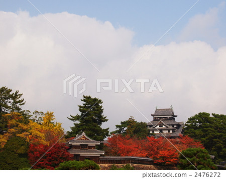 Matsue castle of autumn leaves 2476272