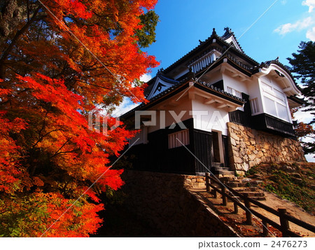 Binaka Matsuyama Castle Present existing tempuru with autumn leaves 2476273