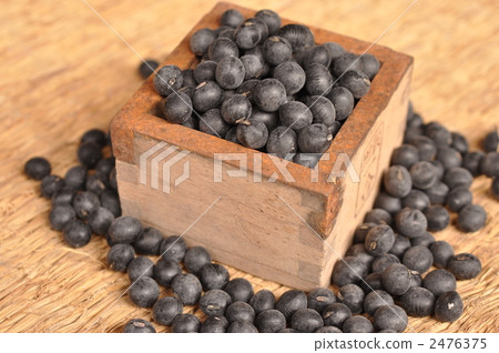 筱山 丹波黑豆 丹羽黑豆 2476375