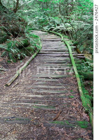 Akazawa自然休閒森林 Akazawa自然休閒森林 2476427