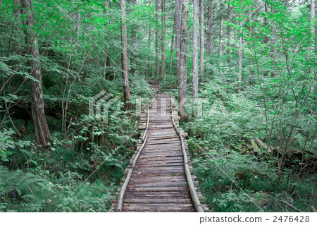 Akazawa自然休閒森林 2476428