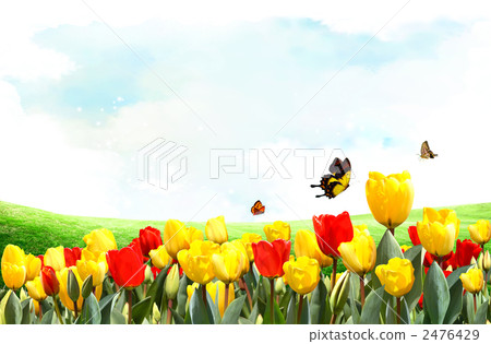 Haru _jj _ 1007373 2476429