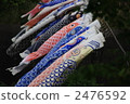 boys' day, carp streamer, japanese carp-shaped windsock 2476592