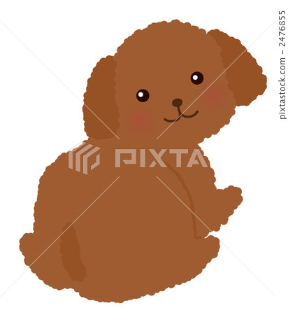 玩具貴賓犬 2476855