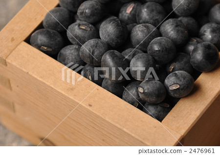 筱山 丹波黑豆 丹羽黑豆 2476961