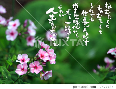 睡覺 睡覺 2477727