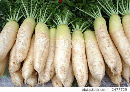 Nago Daikon 2477729
