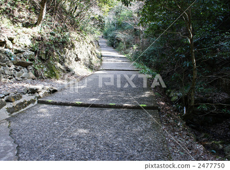 Maio山Fukusera Maio山Fukusera 2477750