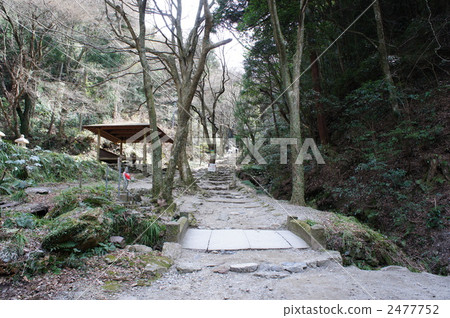 Maio山Fukusera Maio山Fukusera 2477752