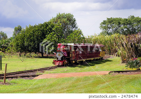 87676 Oahu Dole Plantation 2478474