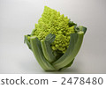 Cauliflower Romanesco 2478480