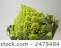 Cauliflower Romanesco 2478484