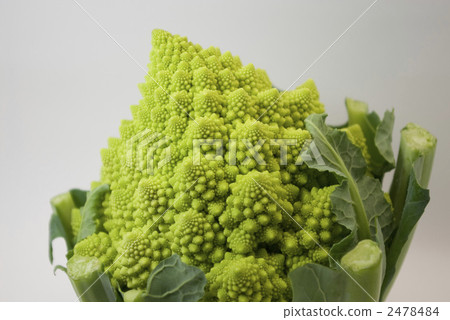 Cauliflower Romanesco Cauliflower Romanesco 2478484