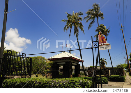 87682 Oahu Bishop Museum 87682 Oahu Bishop Museum 2478486
