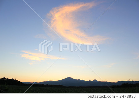 Musashidake在晚上和土豆領域 2478953