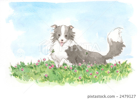 手肘的花和狗 手肘的花和狗 2479127