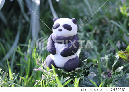 panda, pandas, animal 2479581