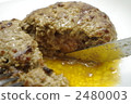 Juicy hamburger steak 2480003