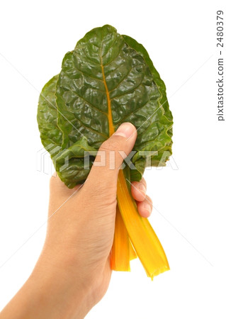 swiss chard, vegetables, vegetable 2480379