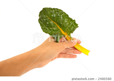 swiss chard, vegetables, vegetable 2480380