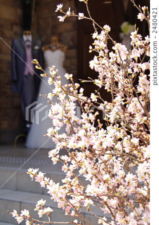 婚姻形象 2480421