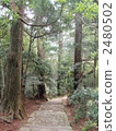 Kumano Kodo 2480502