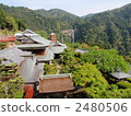 Nachi's waterfall 2480506