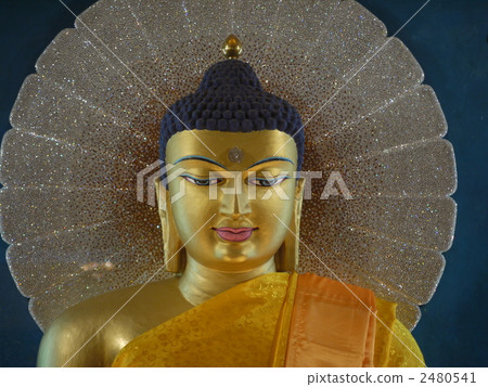 董事會加耶：摩訶菩提寺 2480541