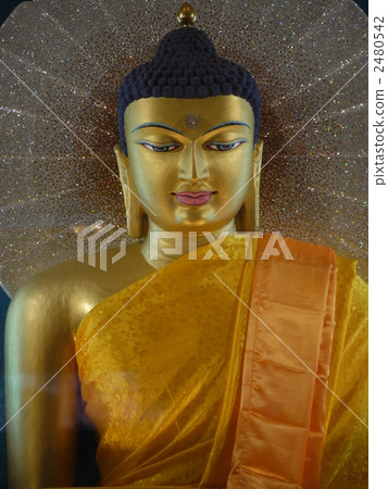 董事會加耶：摩訶菩提寺 2480542