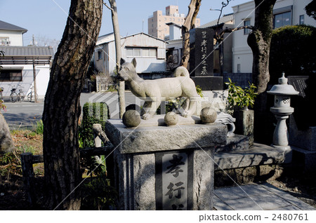 Takayuki狗的墳墓 2480761