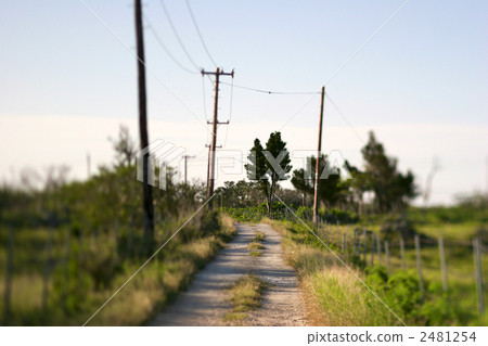 Country road image 2481254