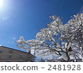 春雪 2481928